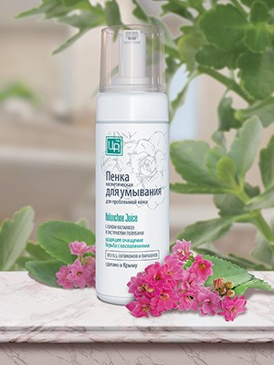 Пенка для умывания Kalanchoe Juice